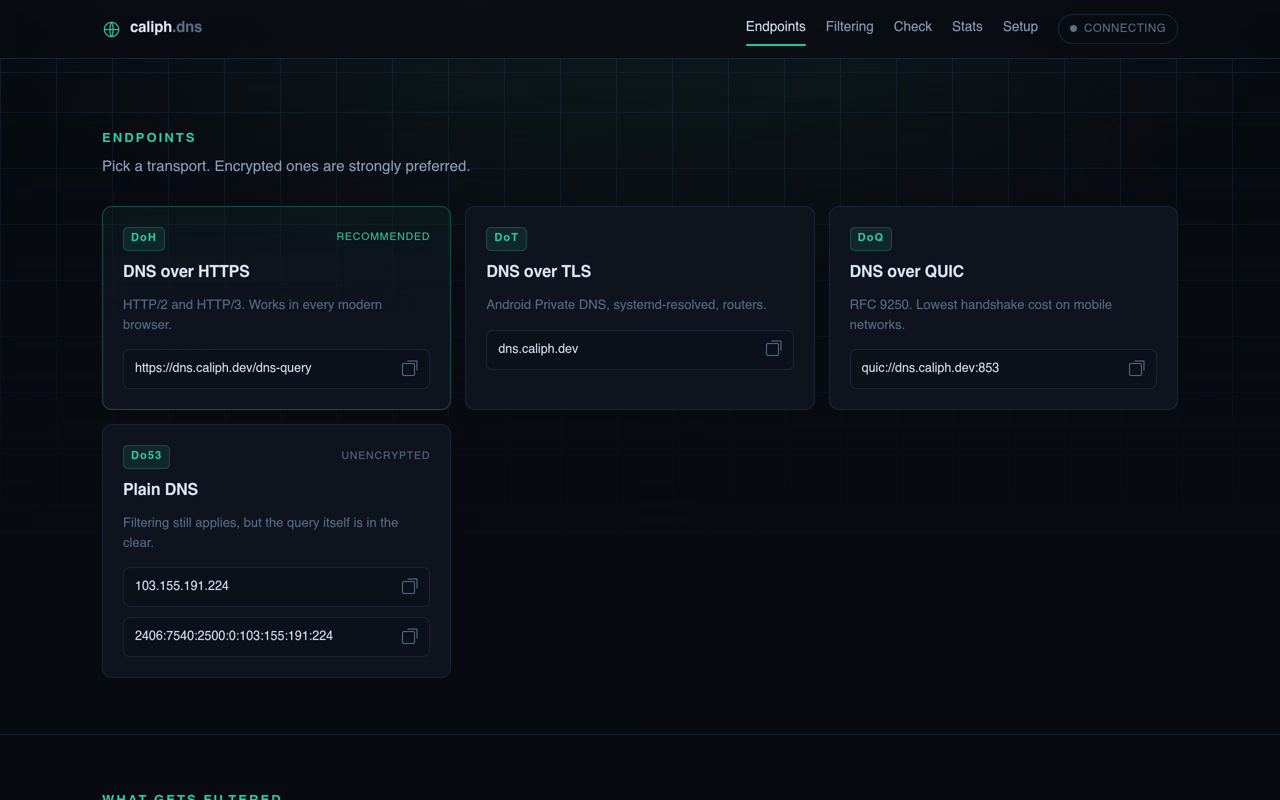 Caliph DNS screenshot 2