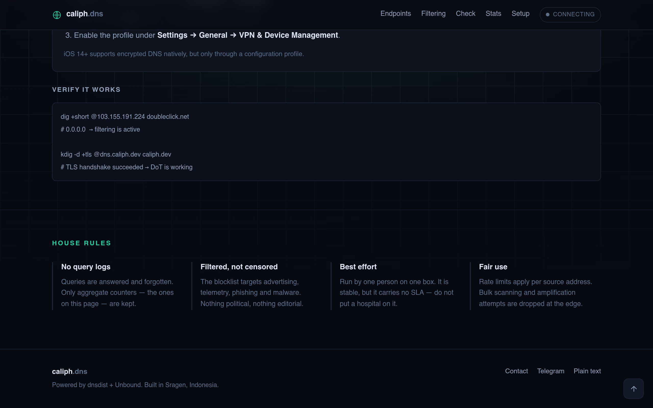 Caliph DNS screenshot 6